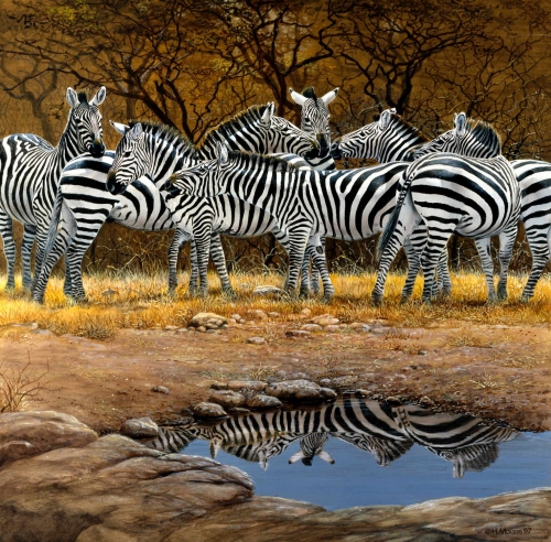 Zebras</br>
1997, Acryl