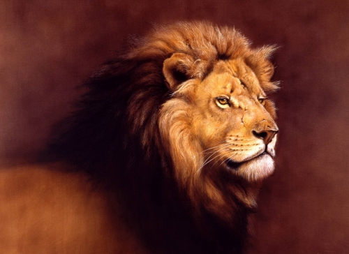 Löwenportrait</br>
1997, Acryl