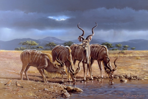 Kudus</br>
2002, Acryl