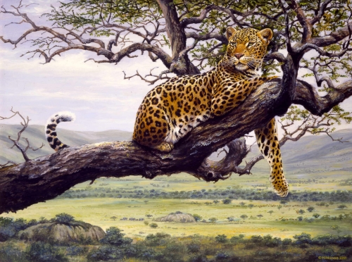 Leopard</br>
Acryl, 2000