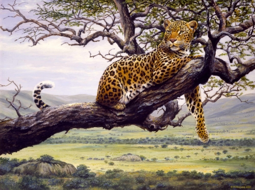 Leopard</br>
Acryl, 2000