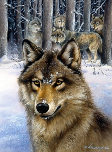 Wolf</br>
2002, Gouache