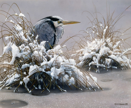 Graureiher</br>
1999, Acryl
