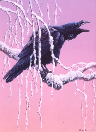 Rabe</br>
1999, Acryl