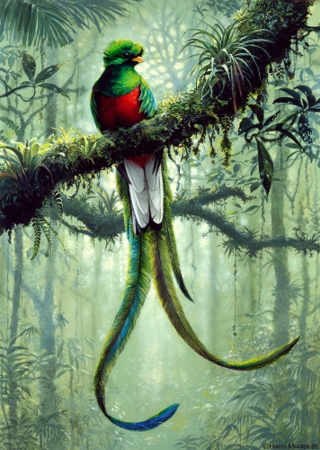 Quetzal</br>
Acryl, 1998