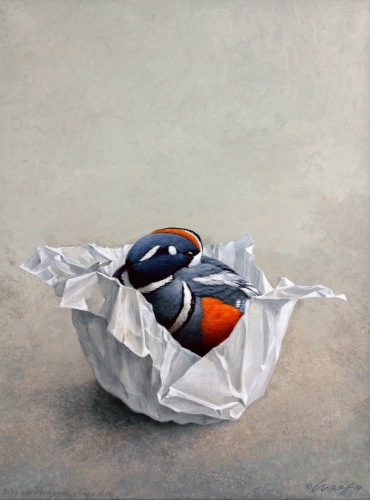 Bitte als Geschenk verpacken (Kragenente)</br>
20014, Acryl